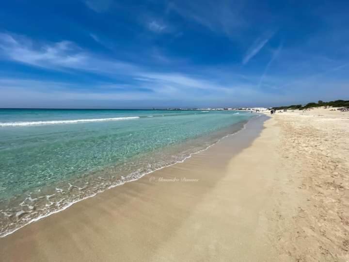 Le Tre Coccinelle Apartment Porto Cesareo Exterior photo